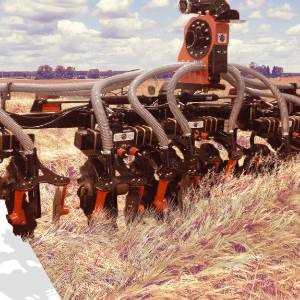 Amelia rodriguez Amelia rodriguez